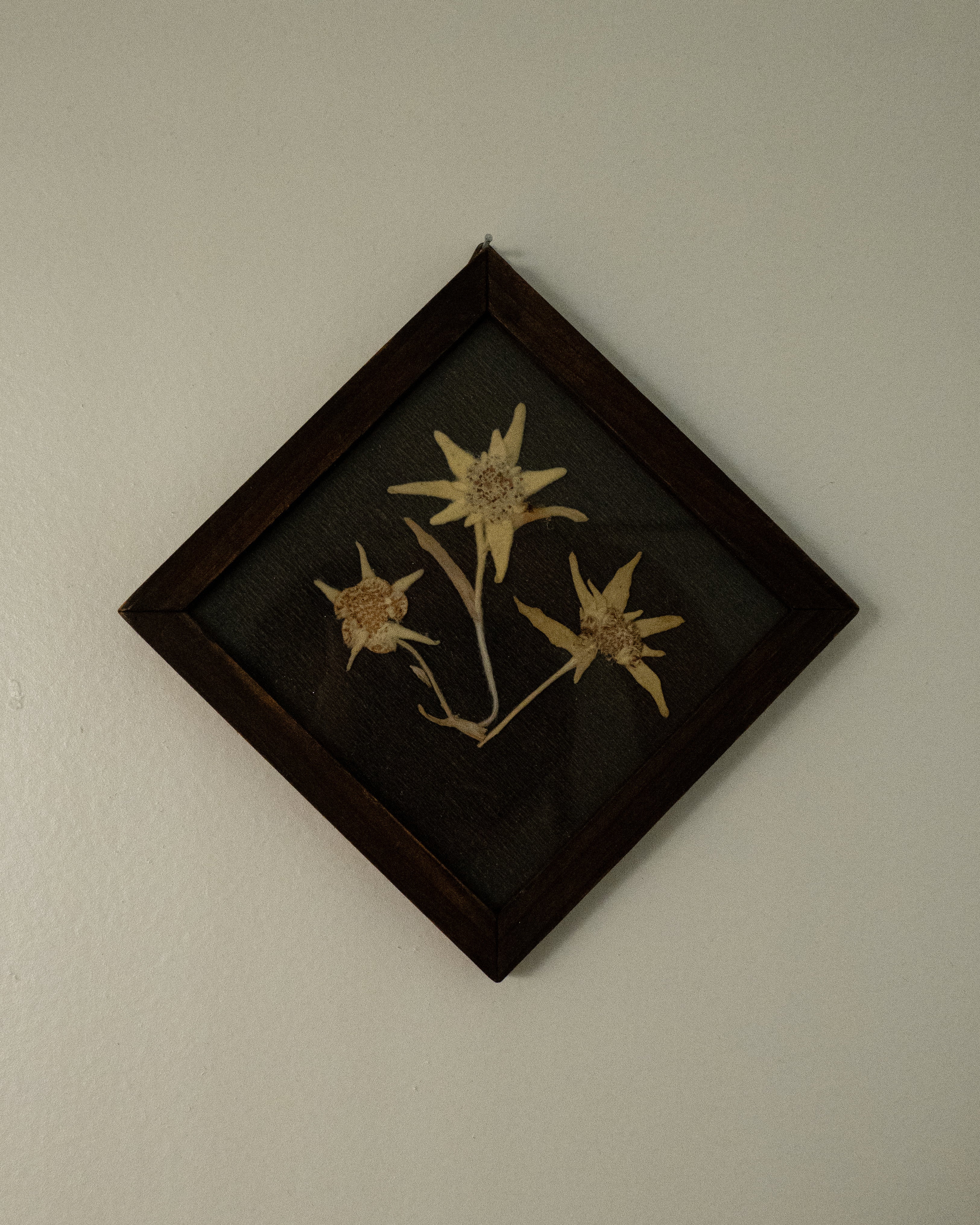 Framed diamond shape wooden floral artwork