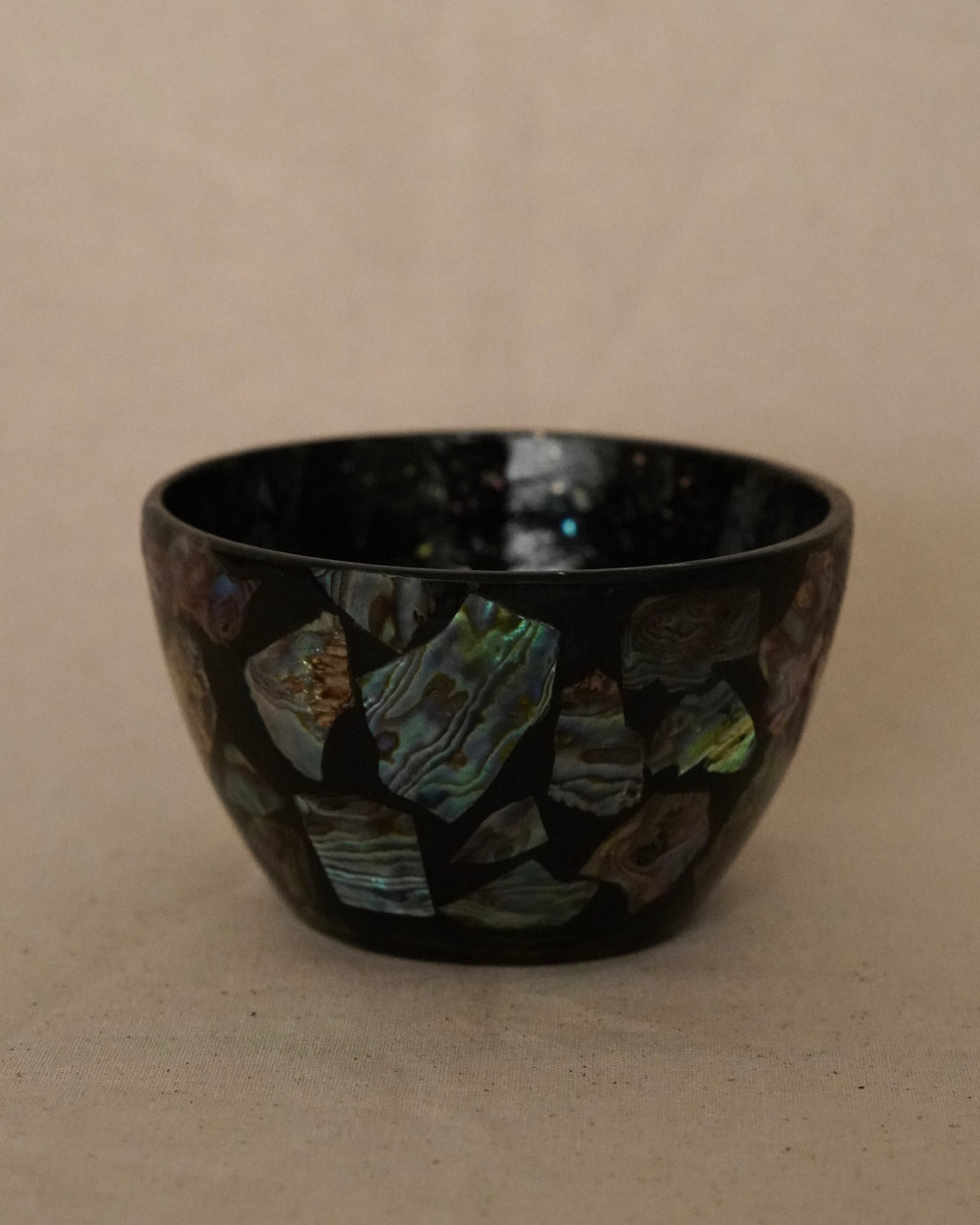 Abalone shell bowl (Made in Fiordland, NZ)