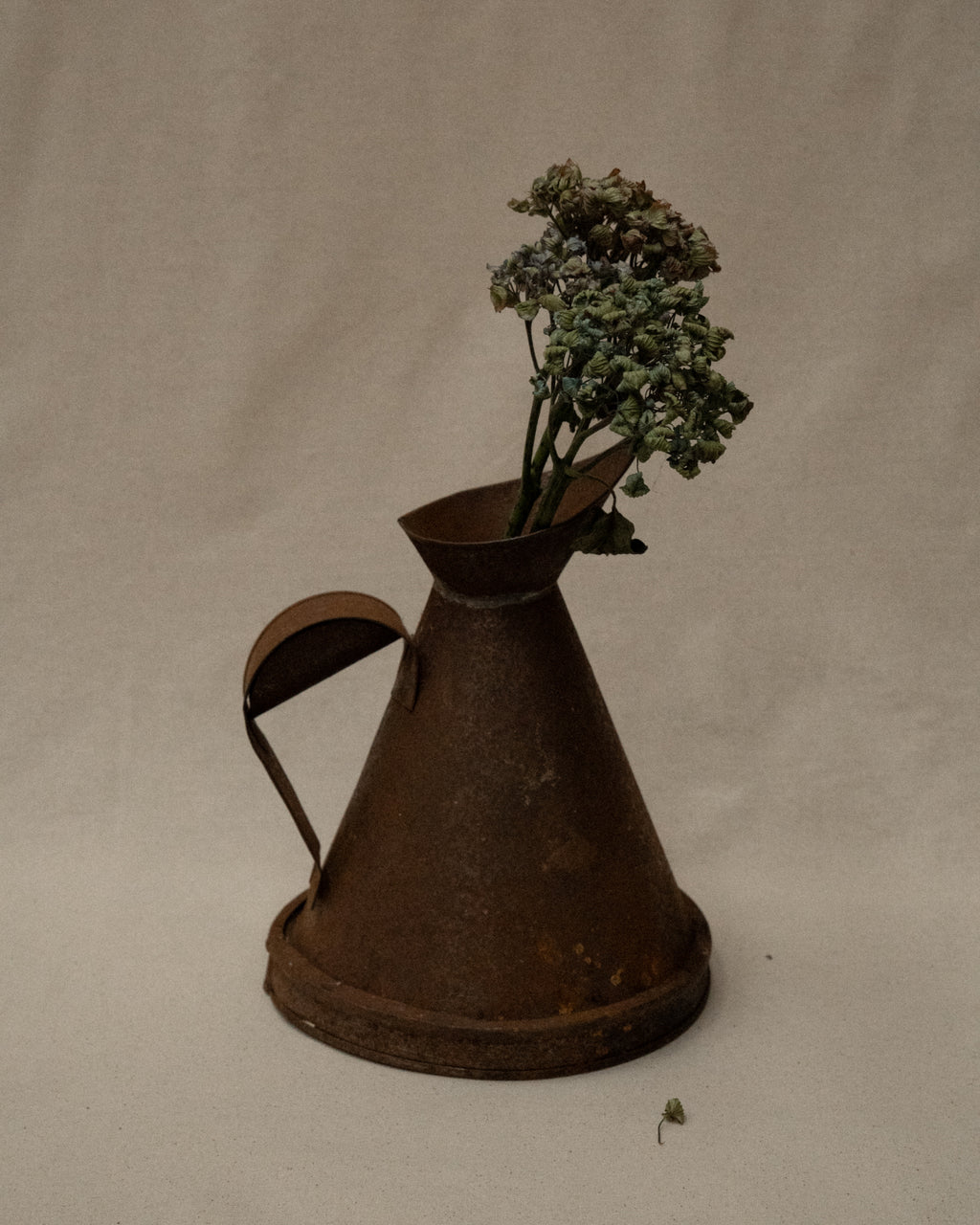 Metal jug