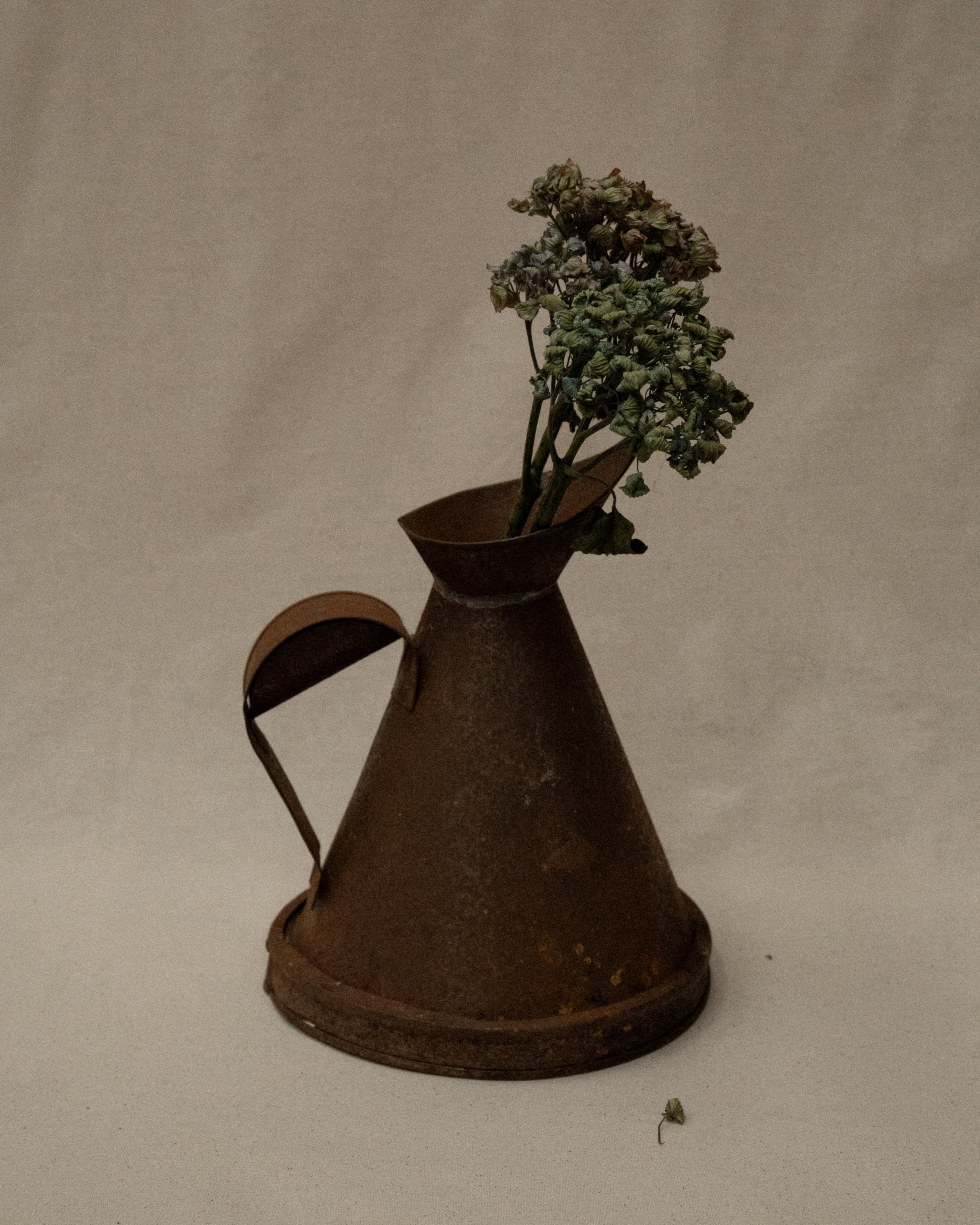 Metal jug