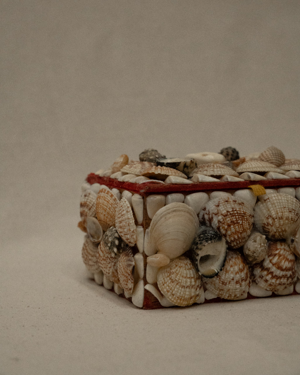 Seashell adorned rectangular trinket box