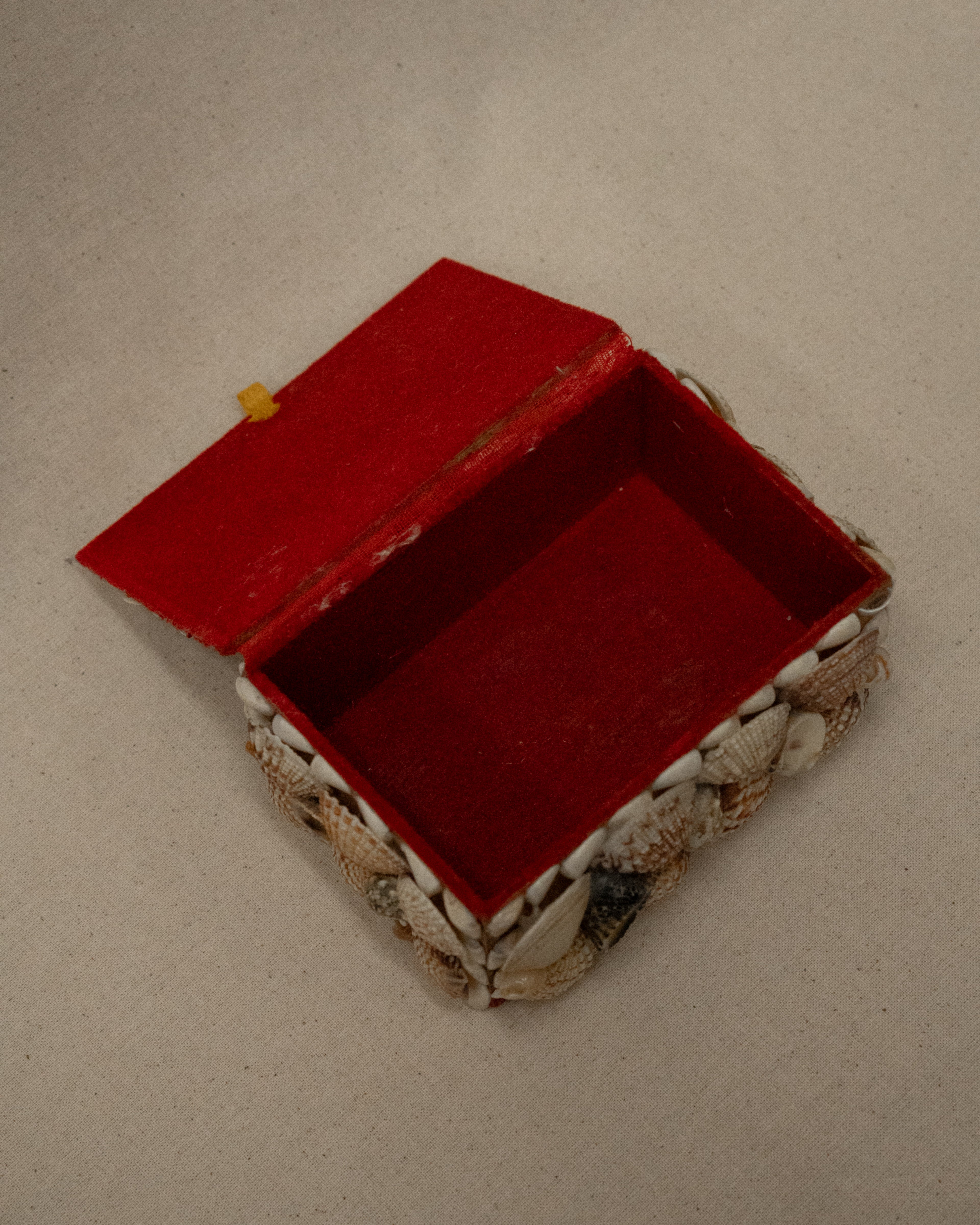 Seashell adorned rectangular trinket box