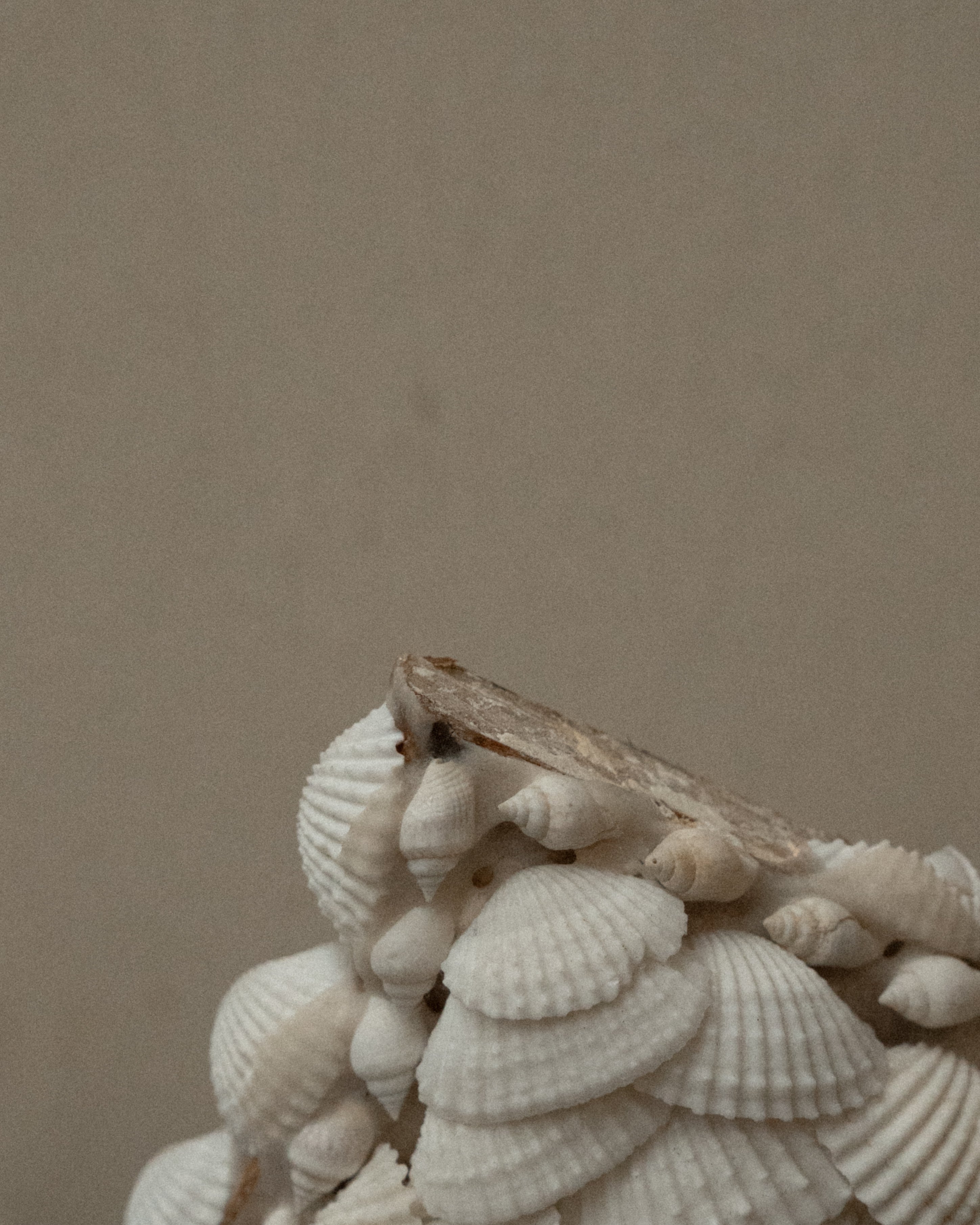 Cross wall hanging decorated with shells