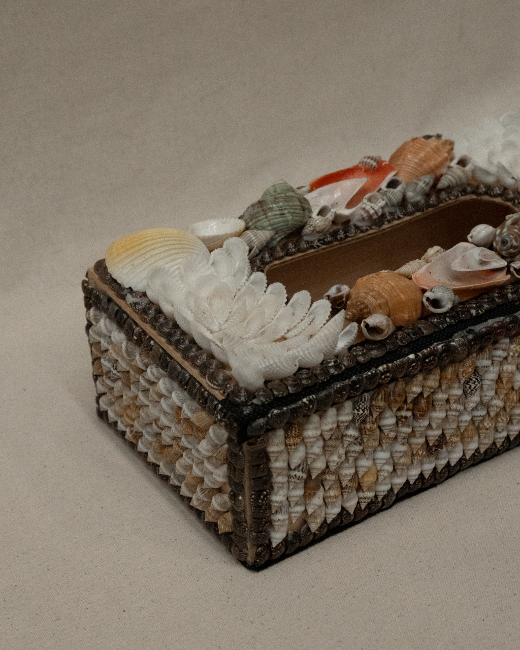 Tissue box adorned with shells