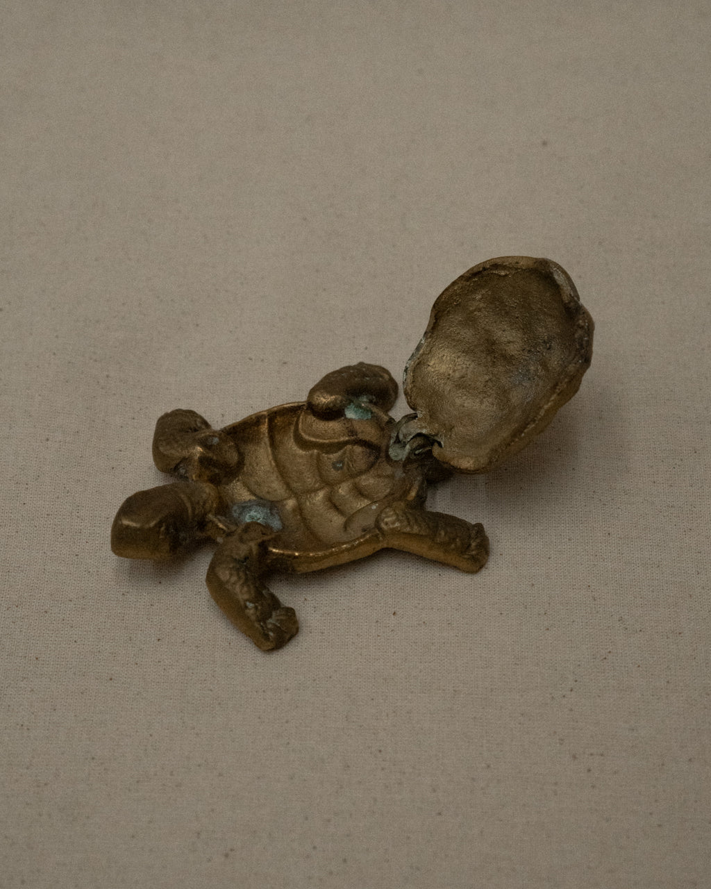 Brass turtle that shell opens up