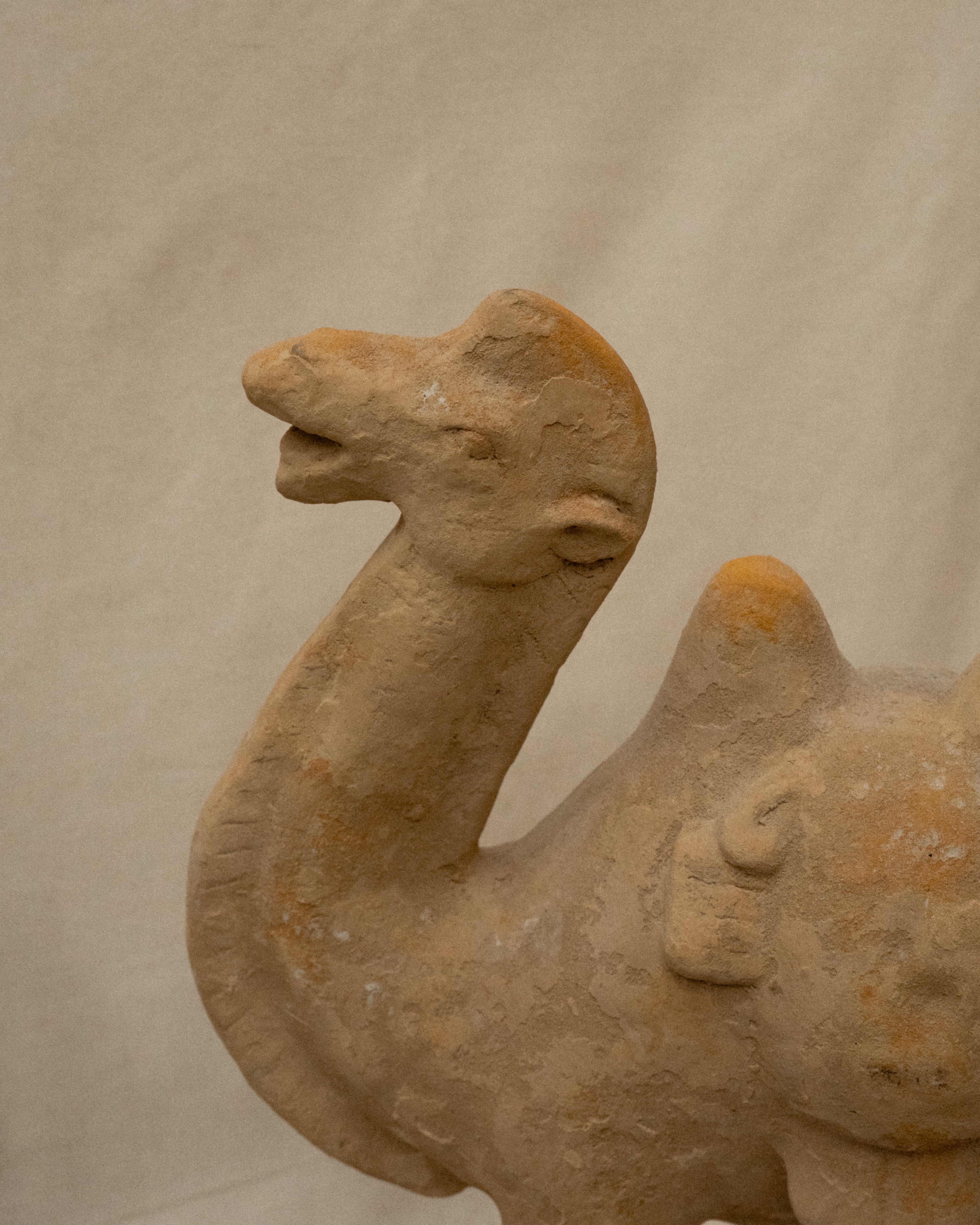 Concrete camel sculpture