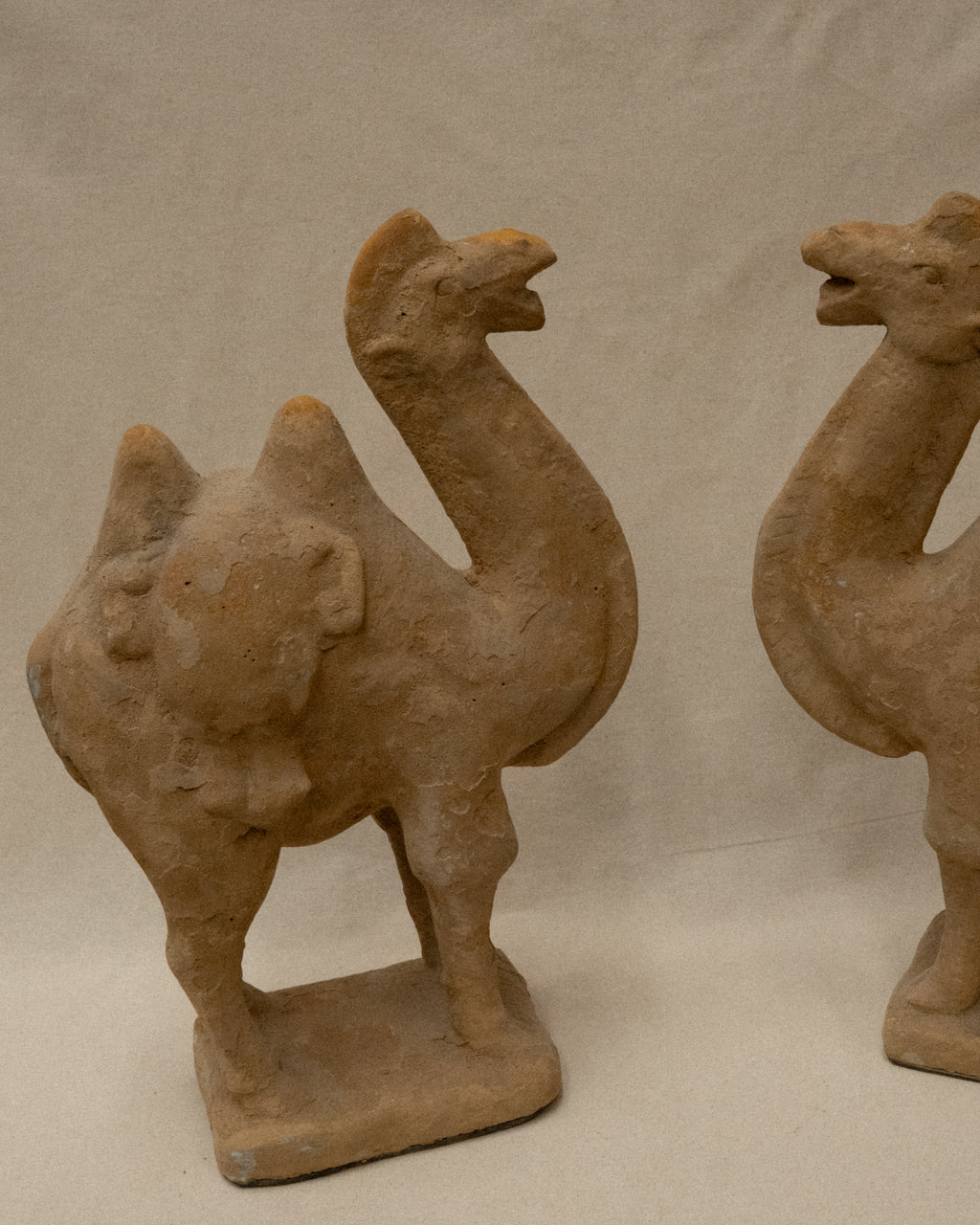 Concrete camel sculpture