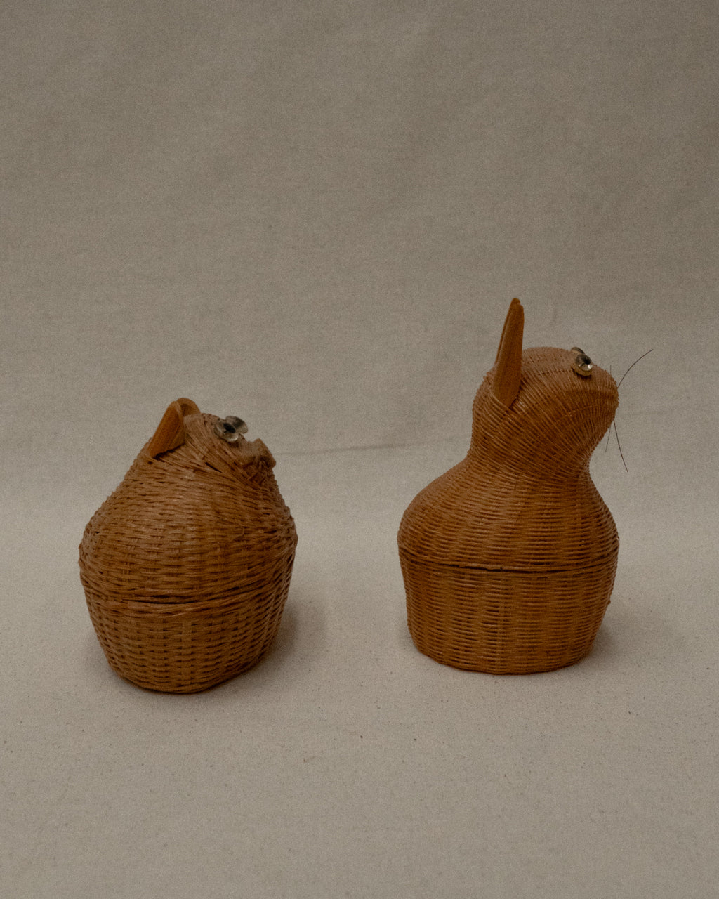 Woven wicker animal container