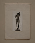 Photograph of carved wooden sculpture 8