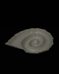 White ceramic spiral shell dish with 'exposed' edges