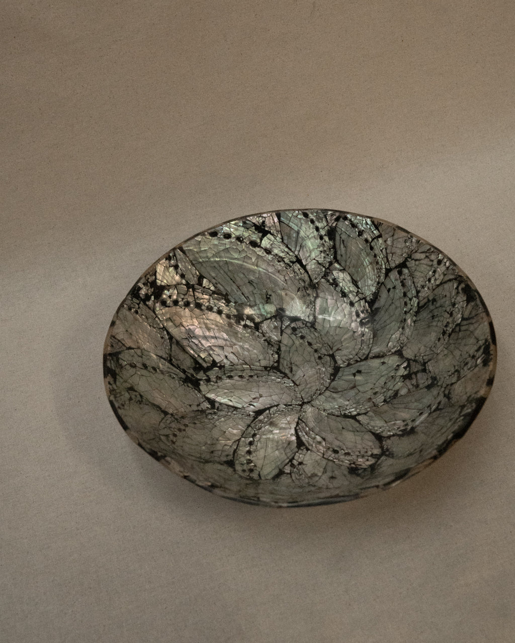 Abalone shell bowl