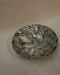 Abalone shell bowl