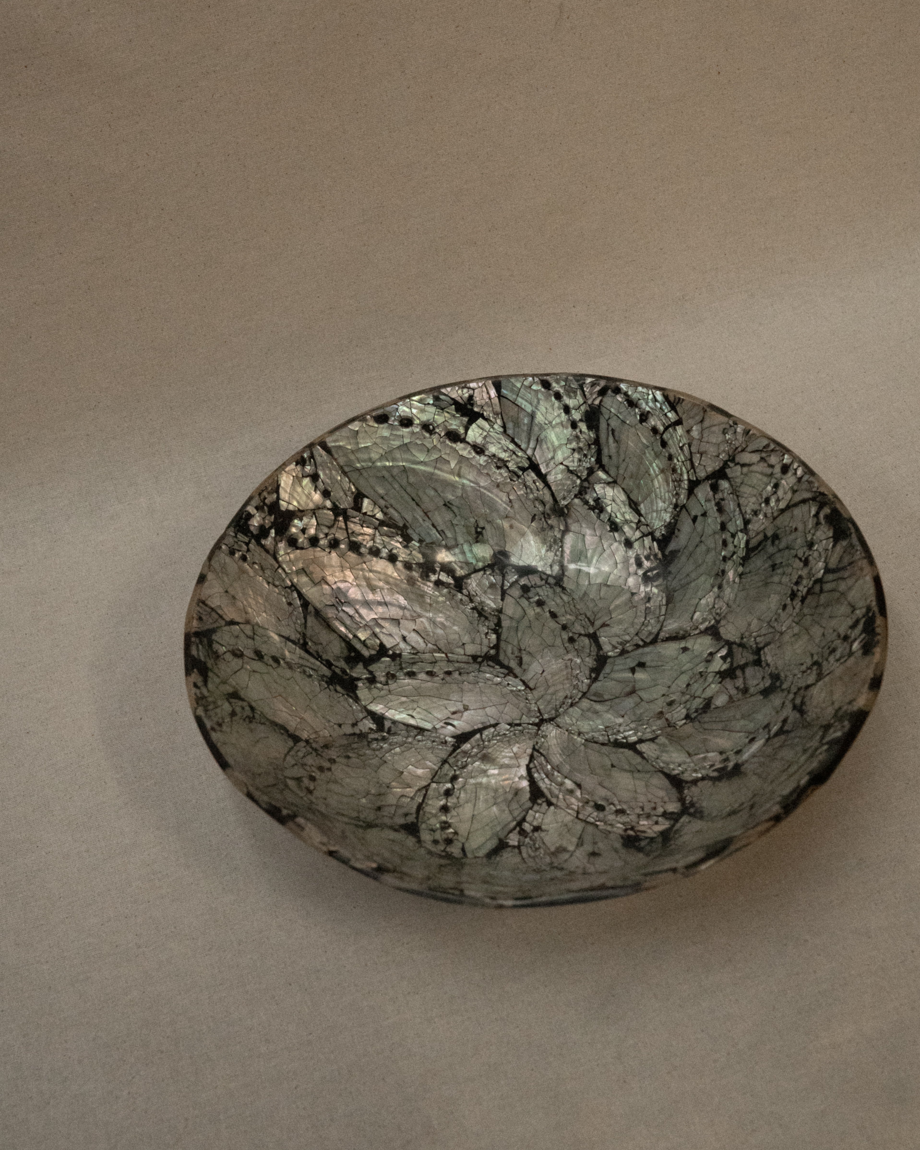 Abalone shell bowl