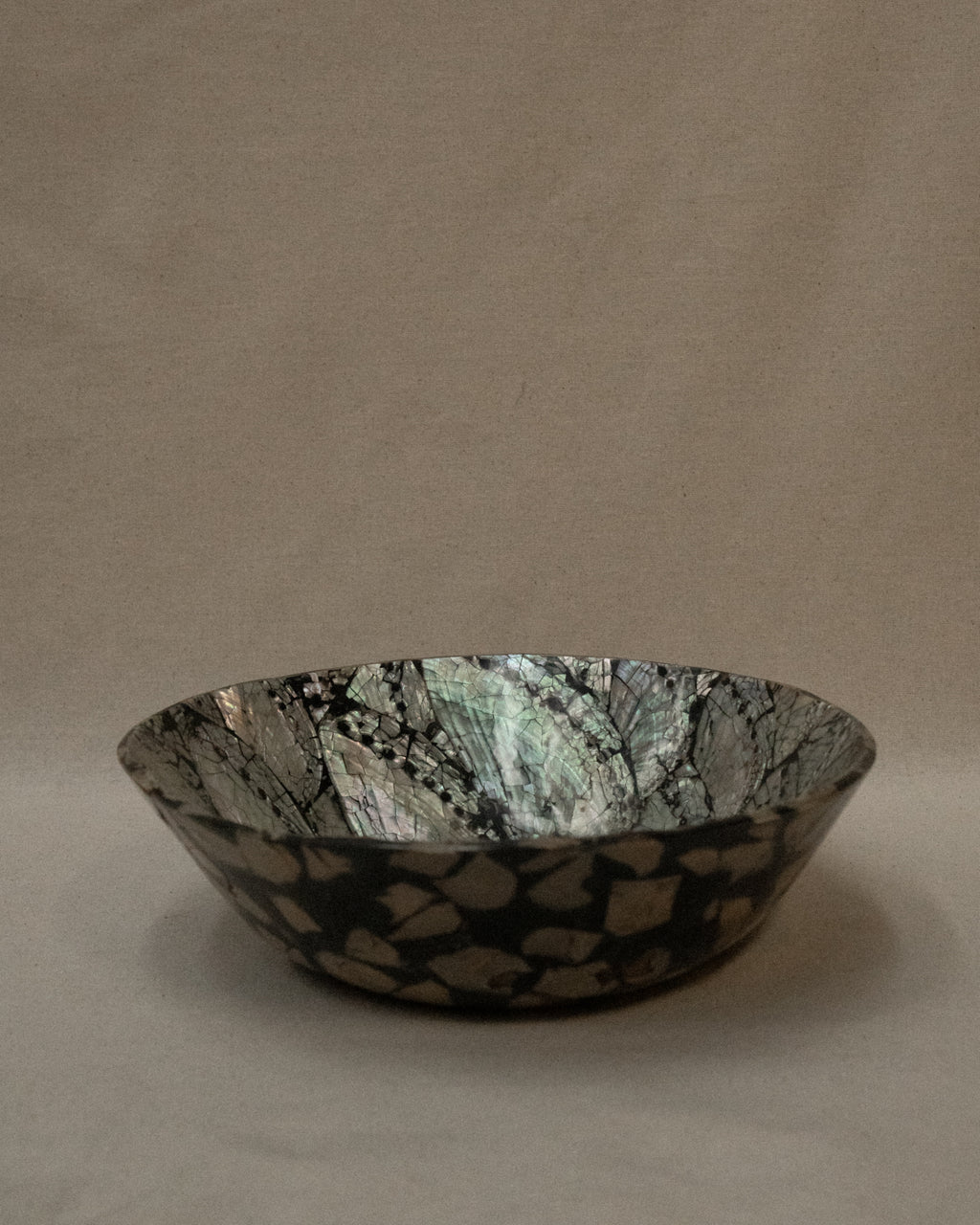 Abalone shell bowl