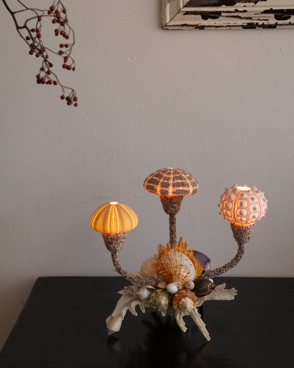 Shell lamp with sea urchins