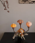 Shell lamp with sea urchins