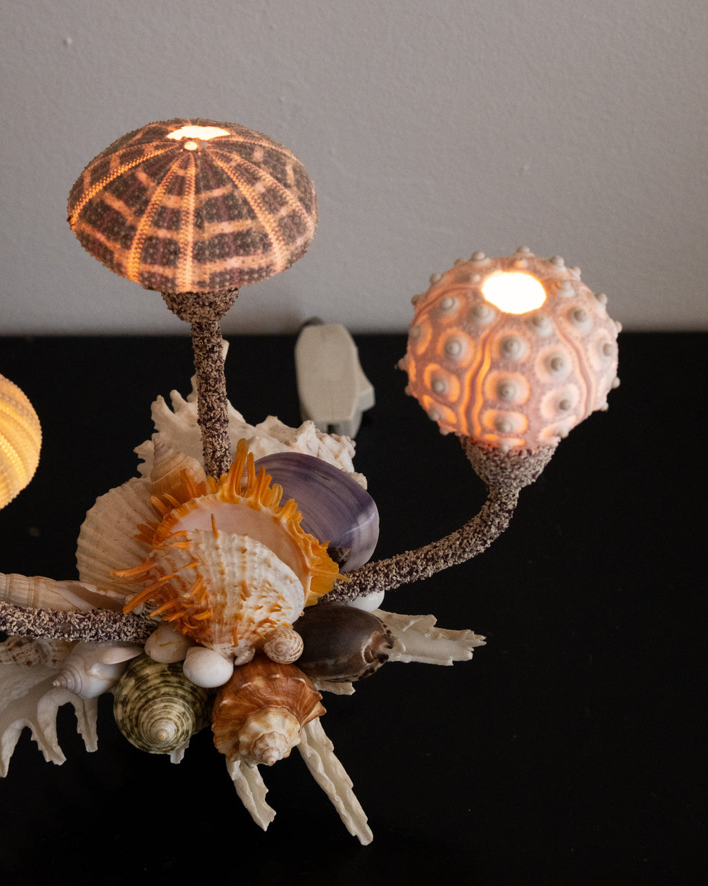 Shell lamp with sea urchins