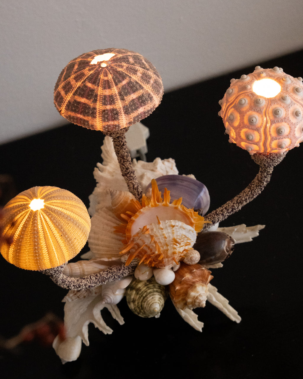 Shell lamp with sea urchins