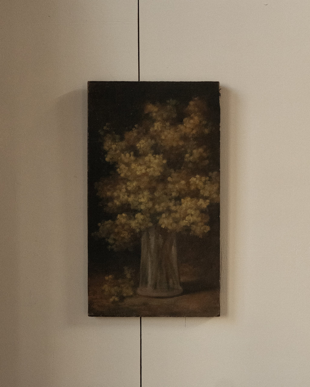 Wattle oil on canvas