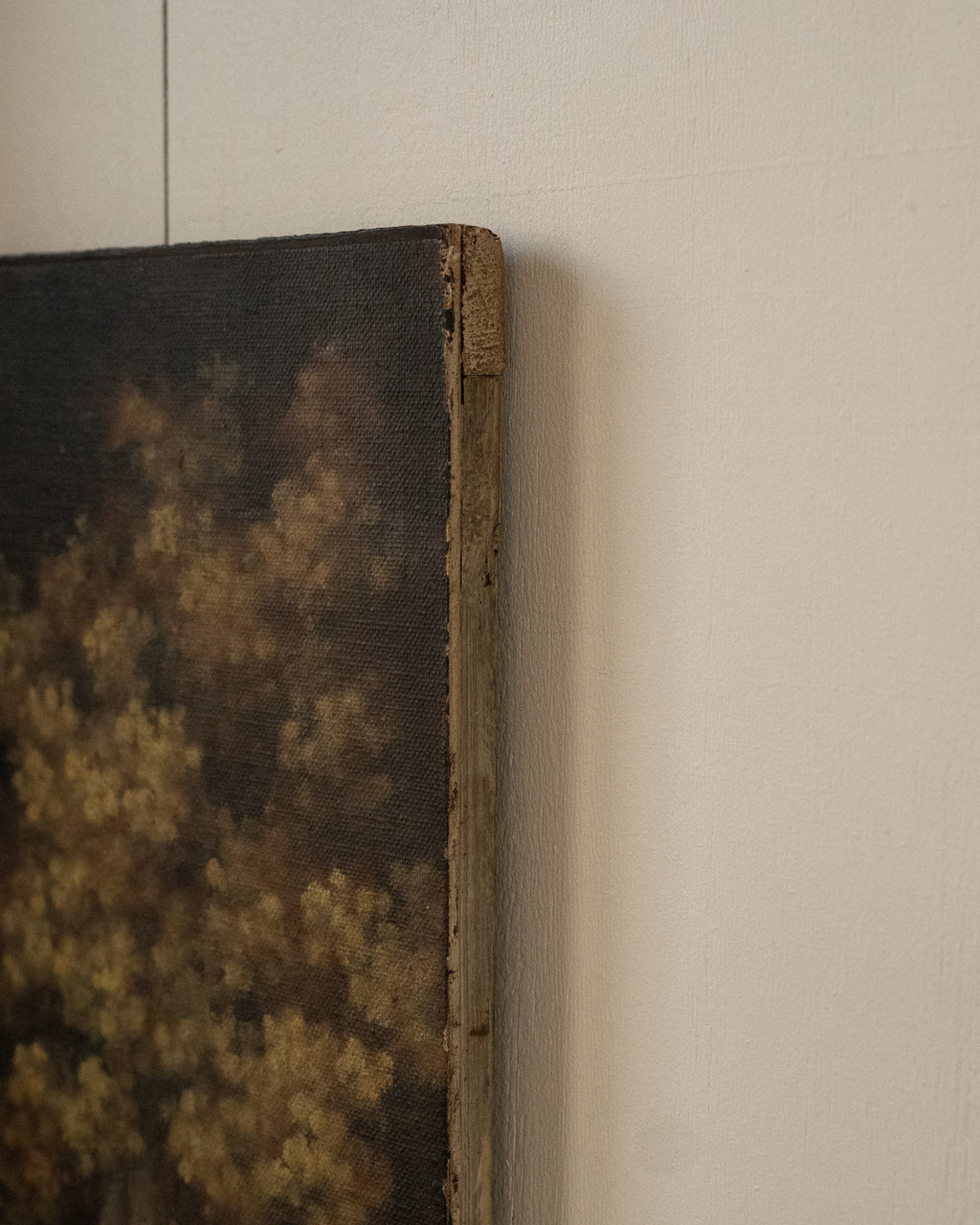 Wattle oil on canvas