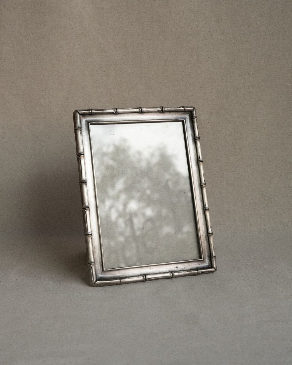 Metal bamboo picture frame