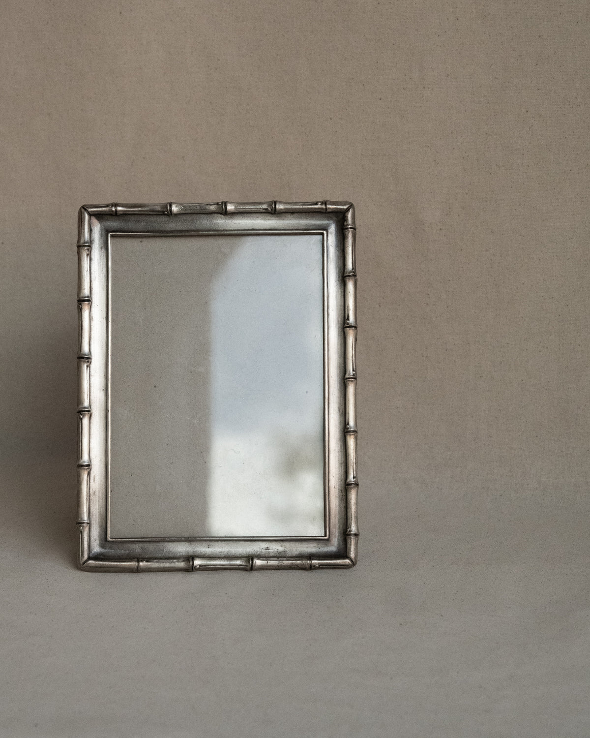 Metal bamboo picture frame
