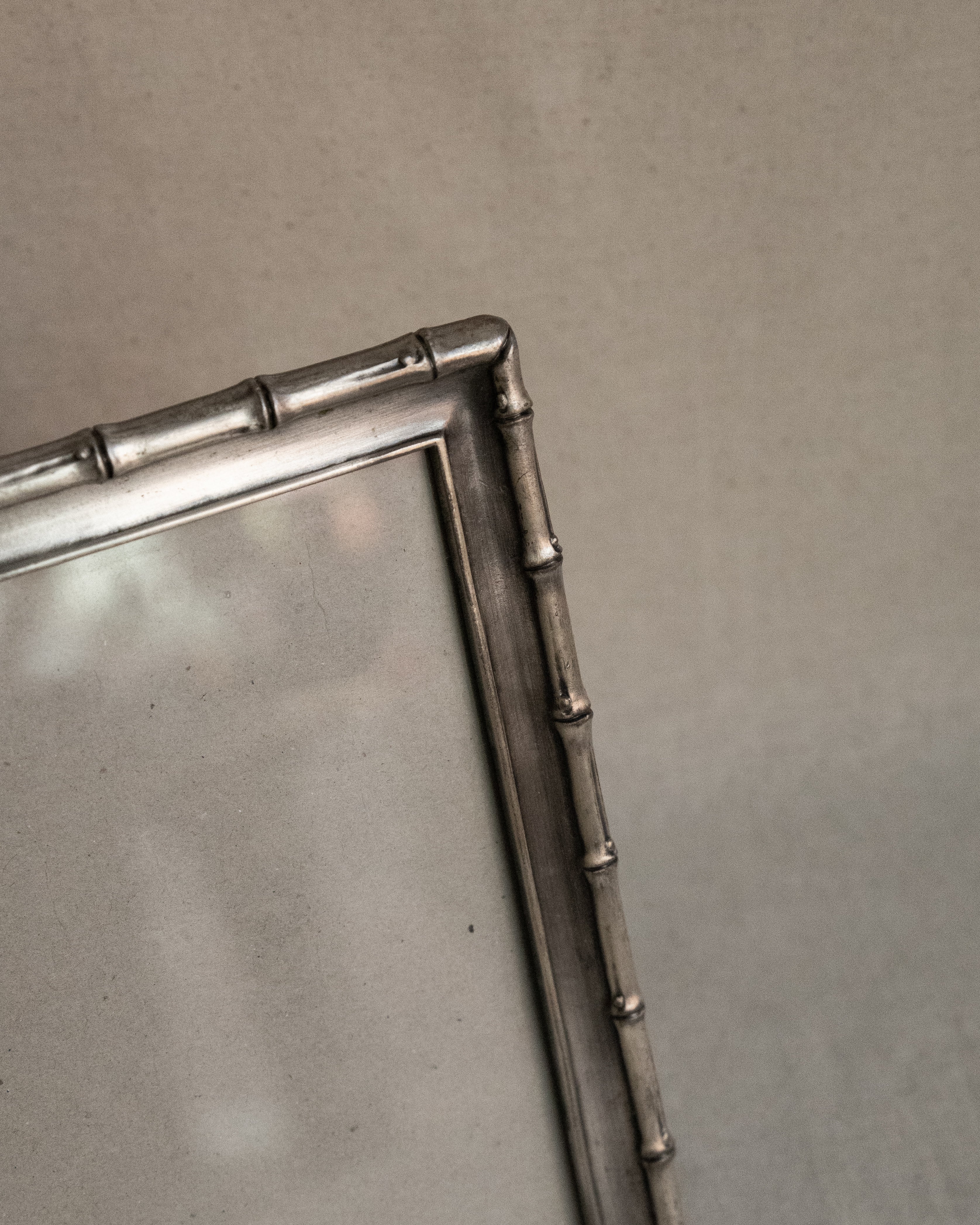 Metal bamboo picture frame