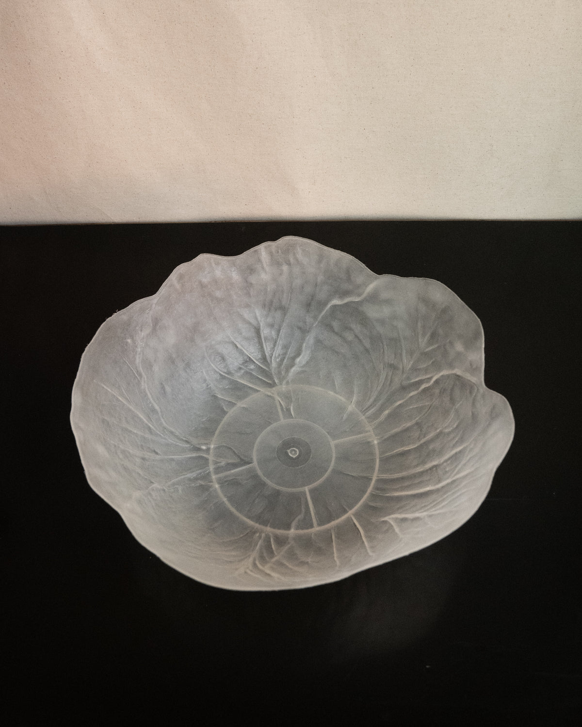 Plastic translucent cabbage bowl