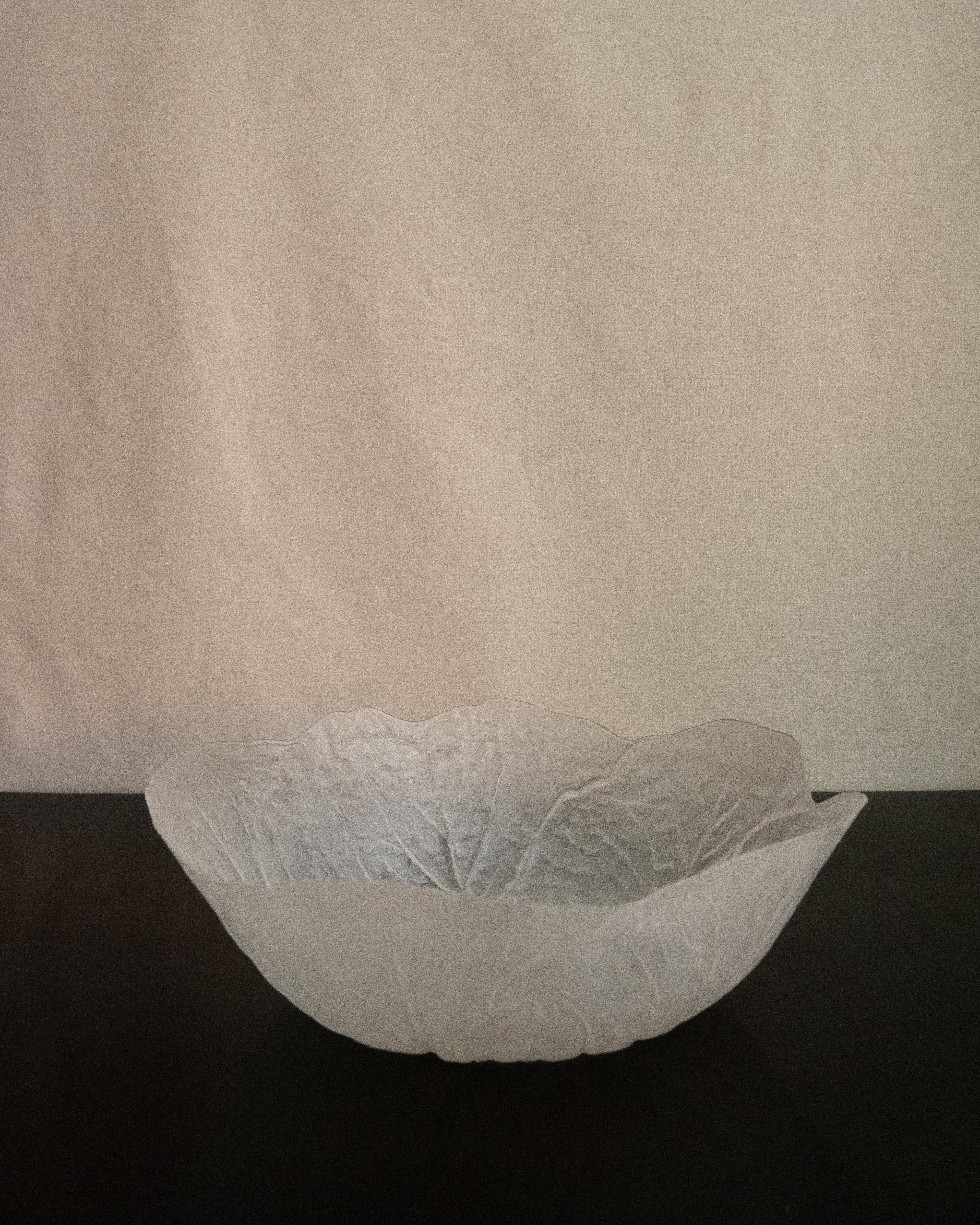 Plastic translucent cabbage bowl