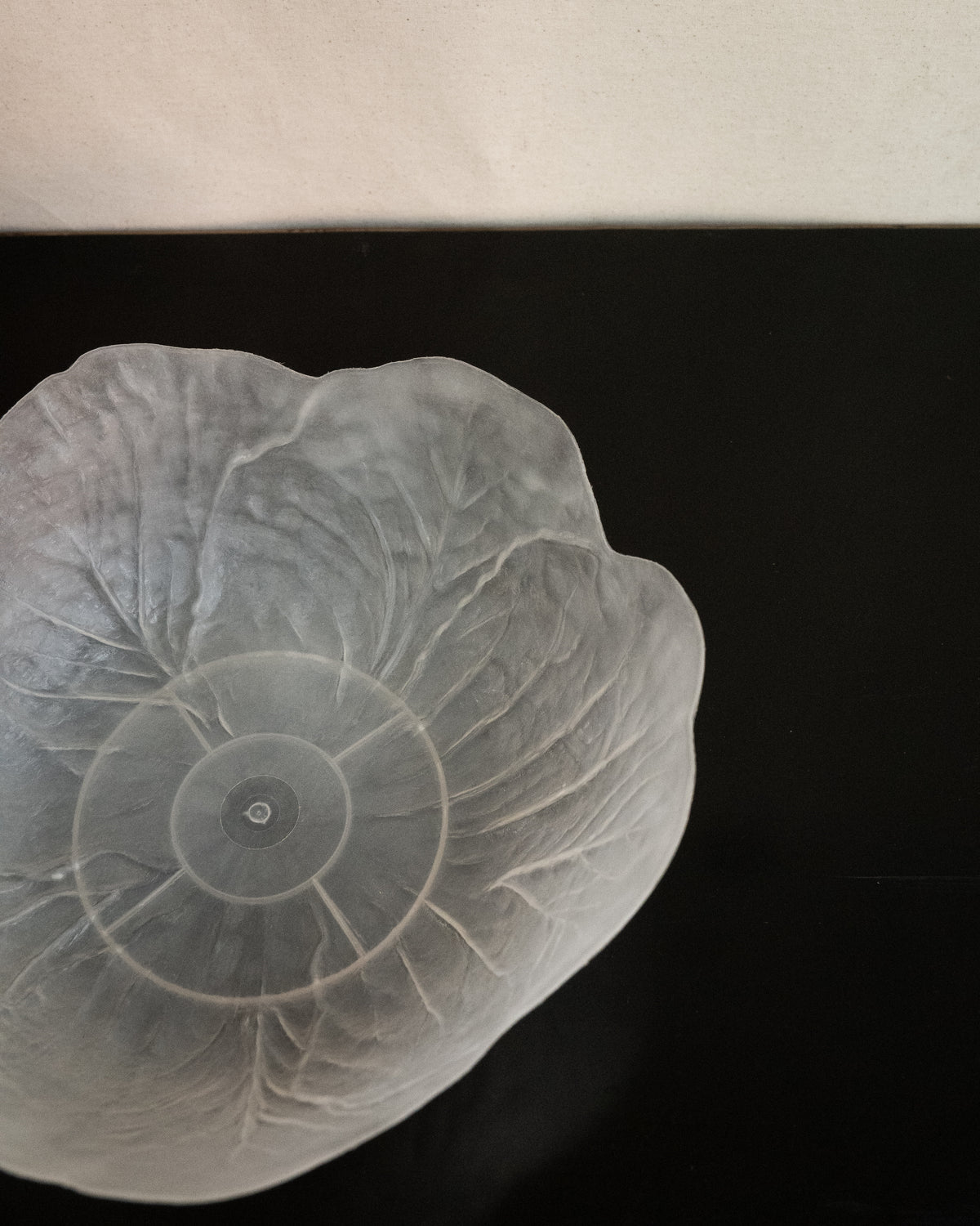 Plastic translucent cabbage bowl