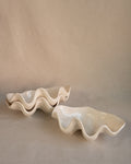 White ceramic clam shell dish