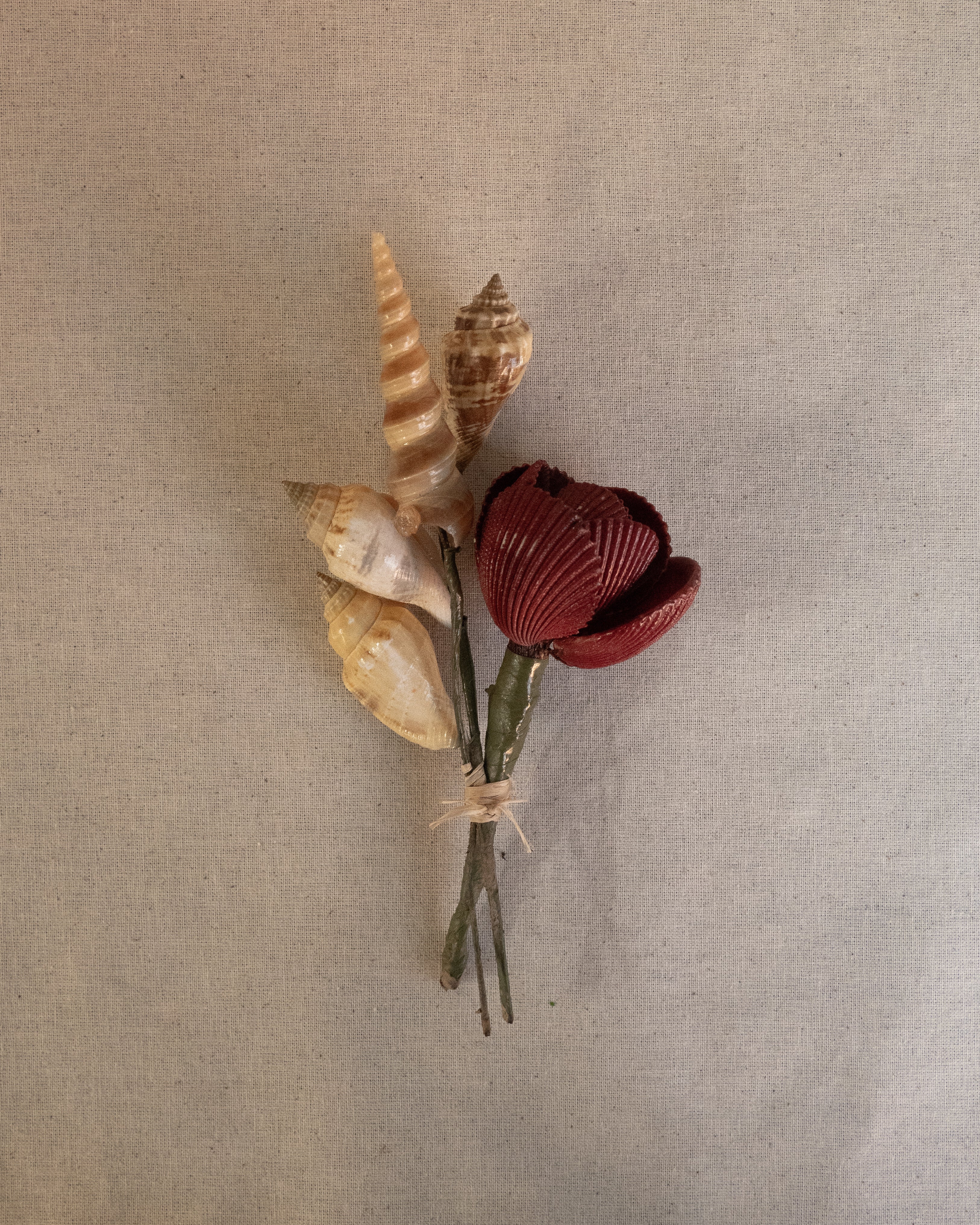 Bouquet made of seashells