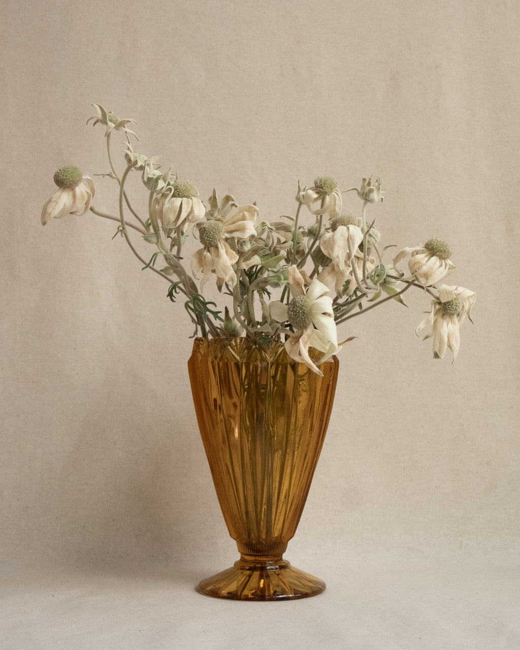 c1930 - 1960s Australian shell vase in amber