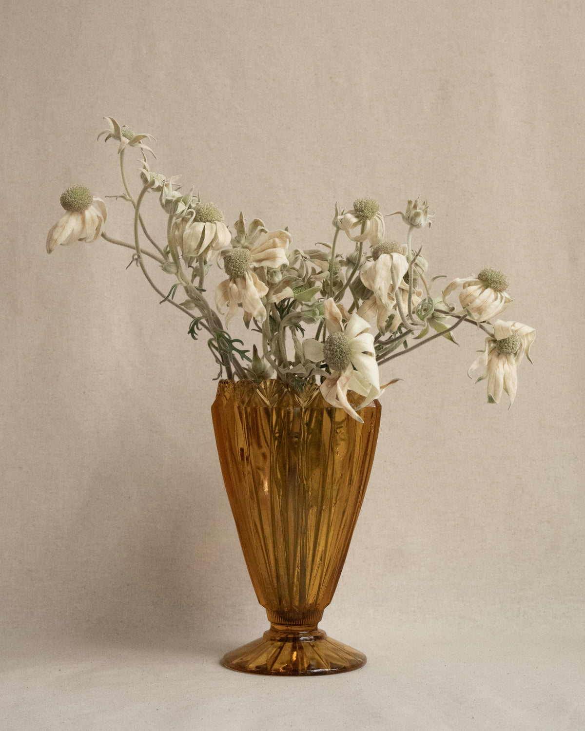 c1930 - 1960s Australian shell vase in amber