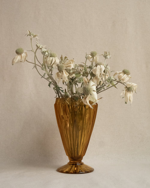 c1930 - 1960s Australian shell vase in amber
