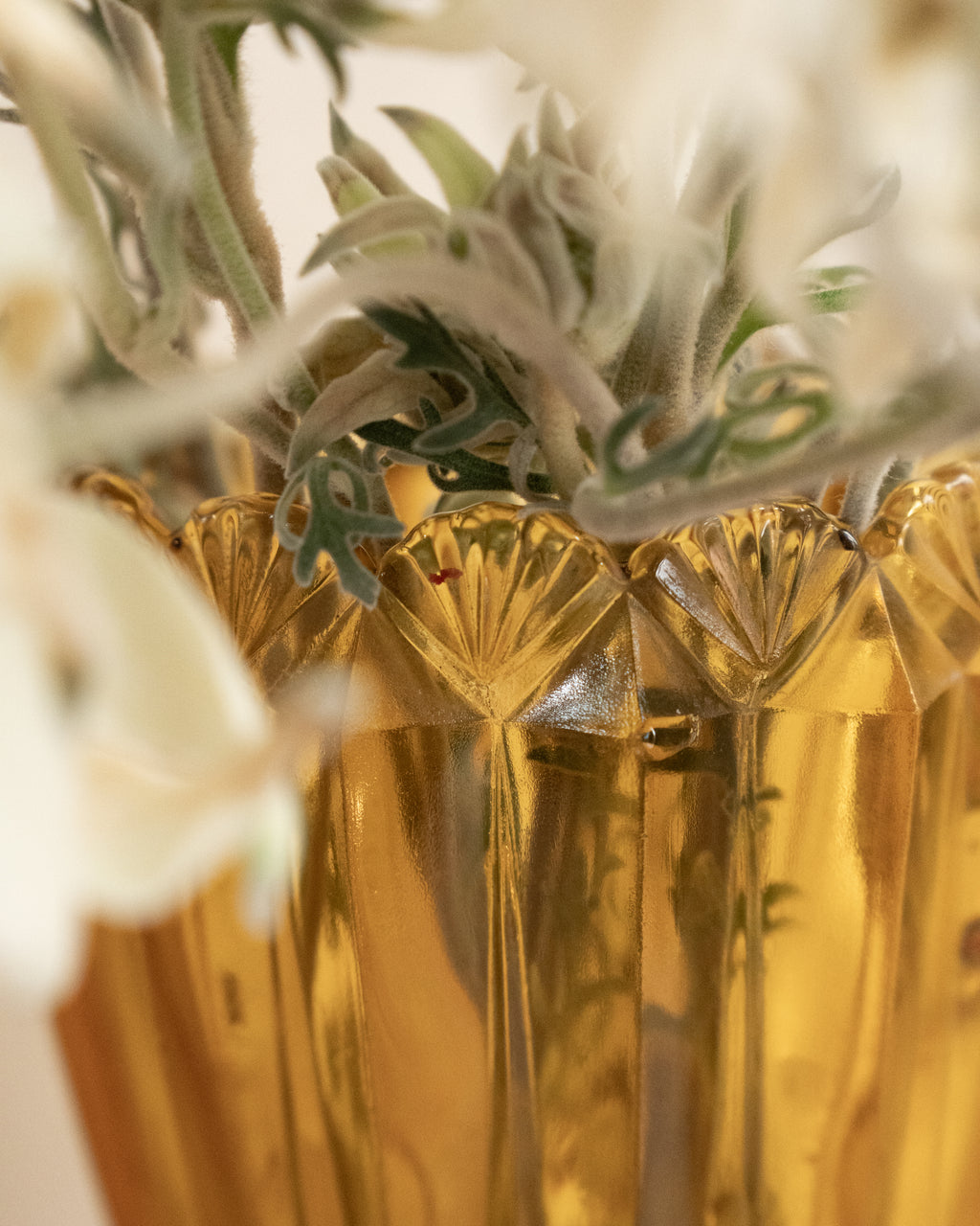 c1930 - 1960s Australian shell vase in amber