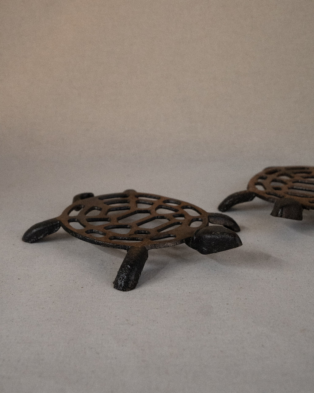 Metal tortoise trivet