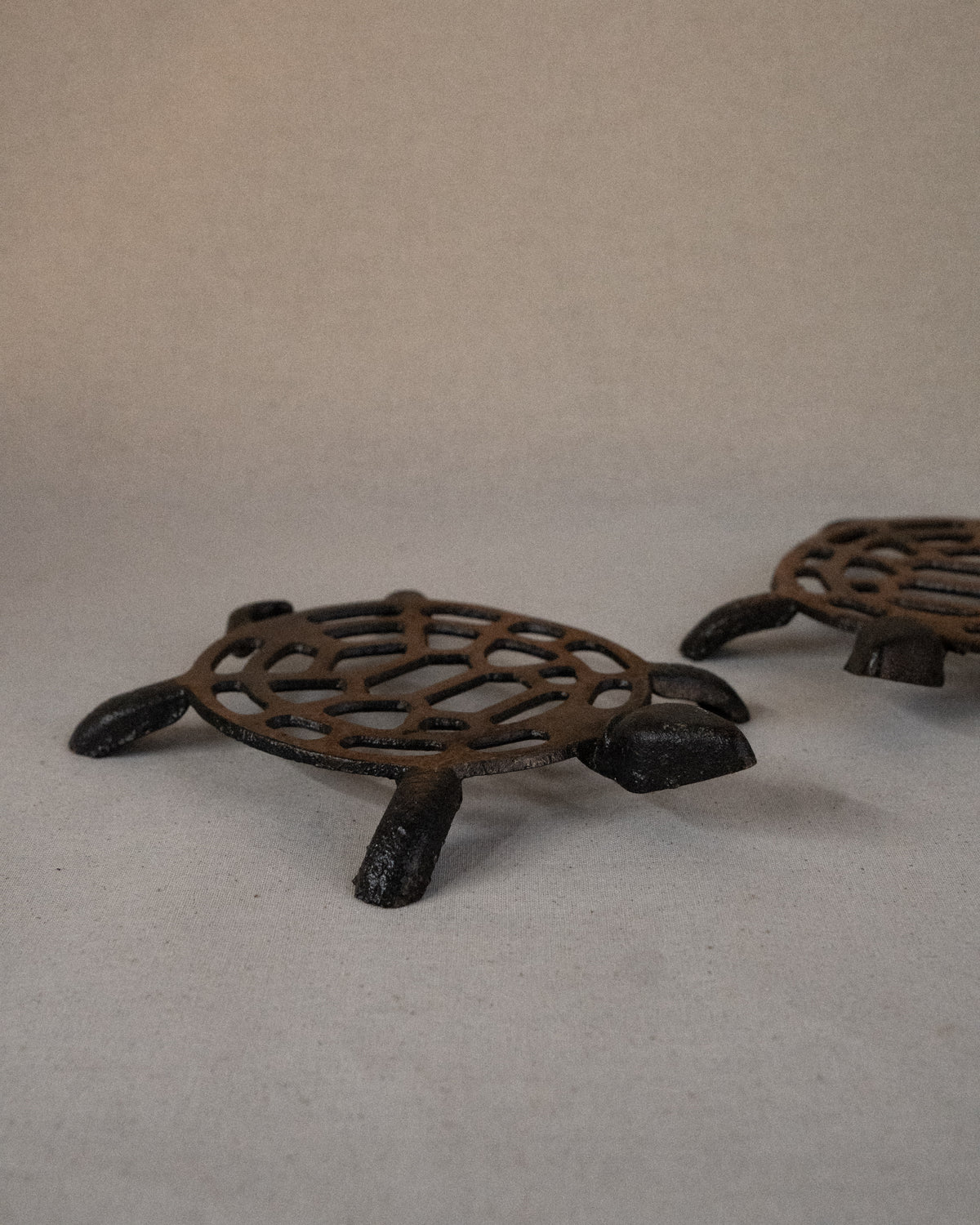 Metal tortoise trivet
