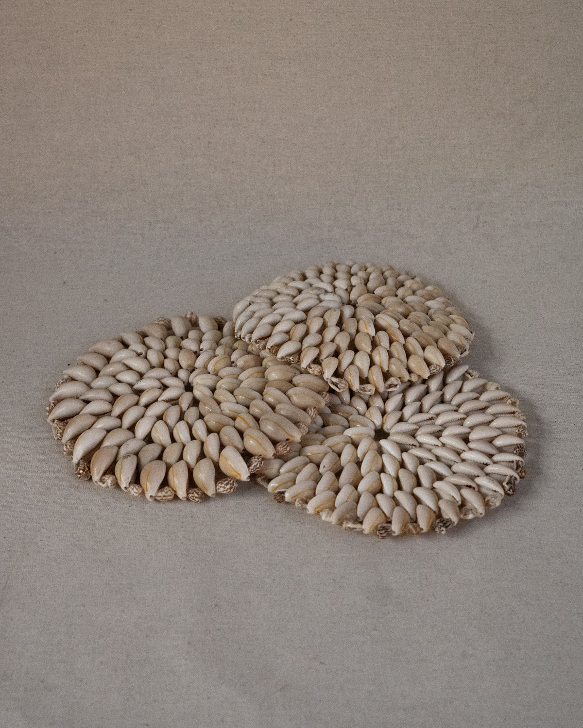 Shell coaster