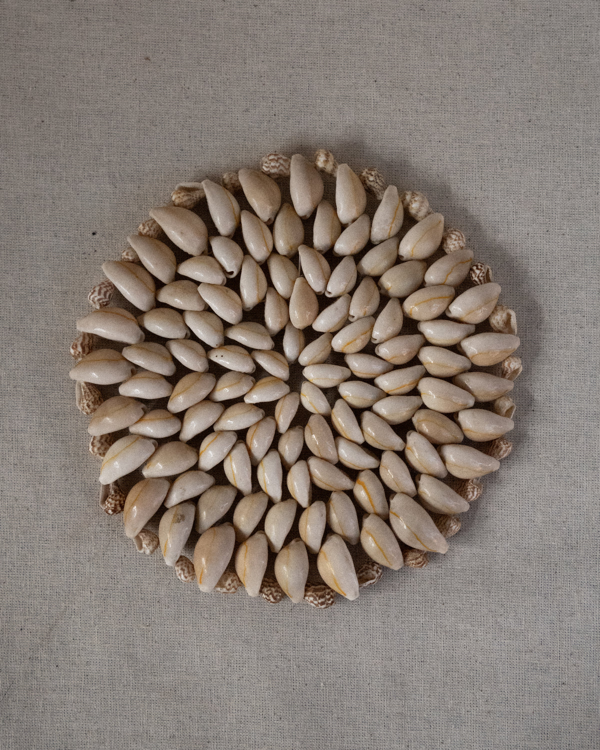 Shell coaster