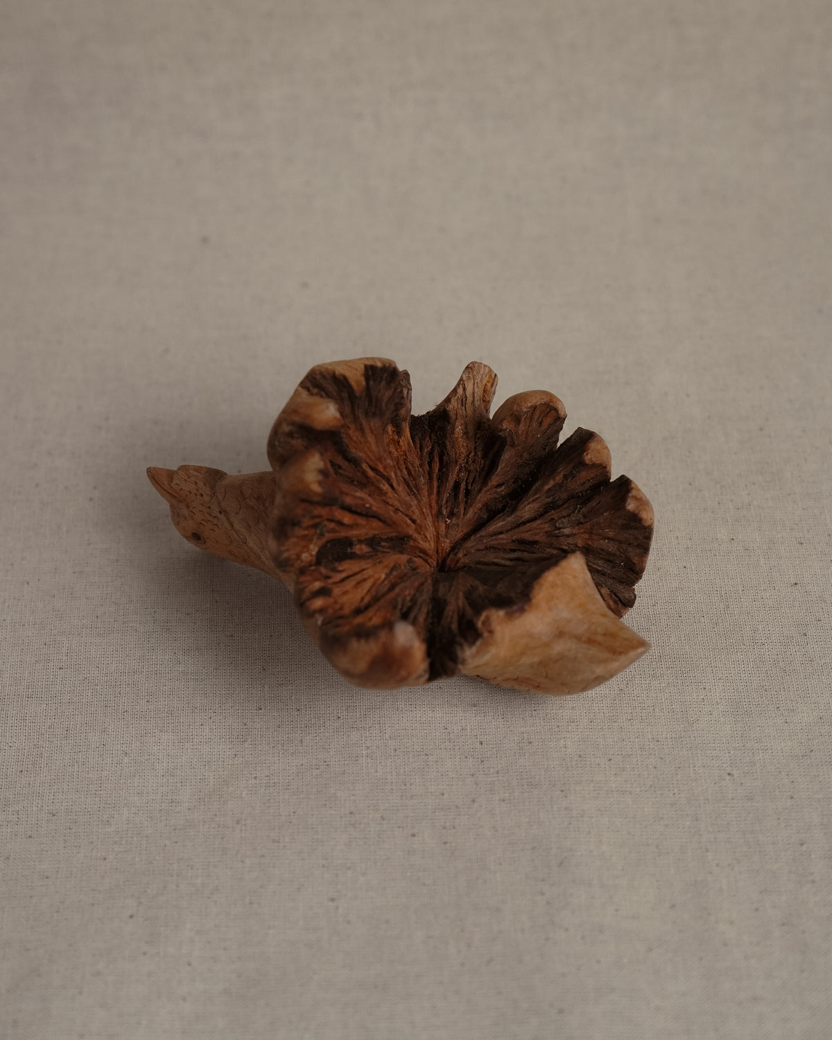 Folk art carved burl wood hen