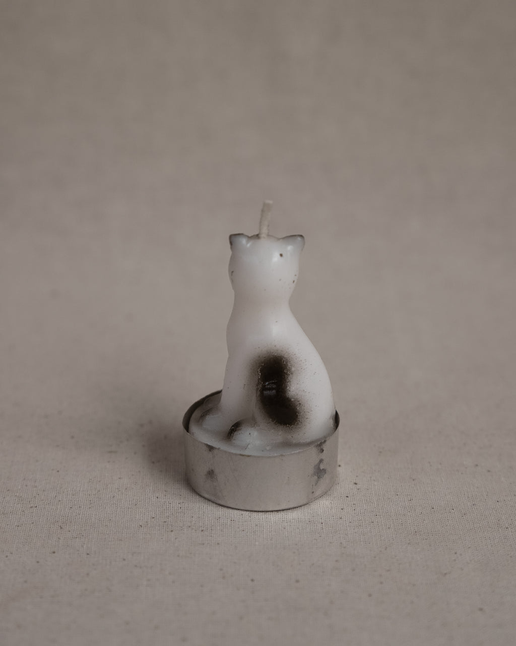 Siamese cat unscented candle