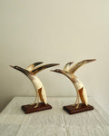 Pair of carved horn duck sculptures on a wooden base