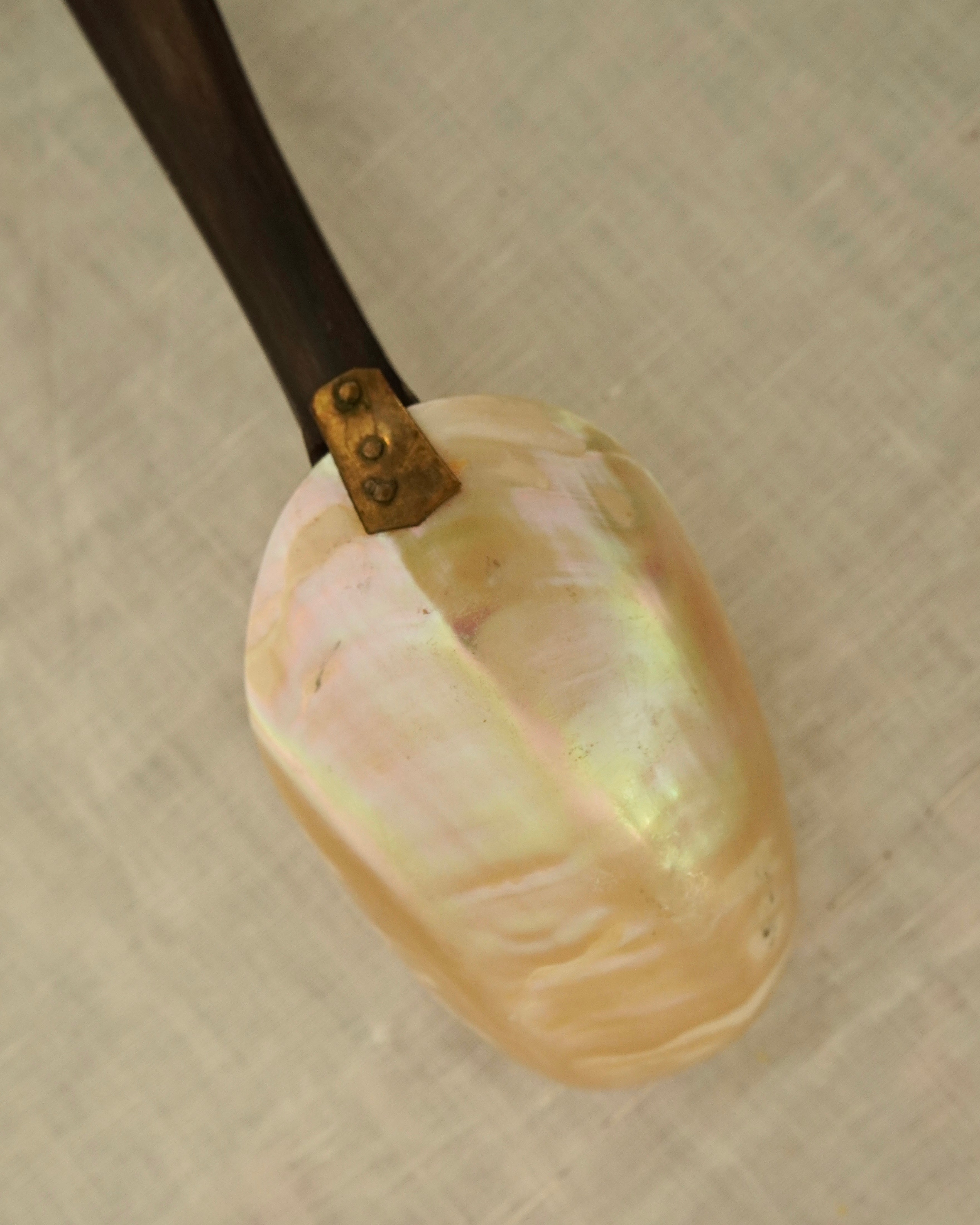 Mother of pearl inlay shell spoon