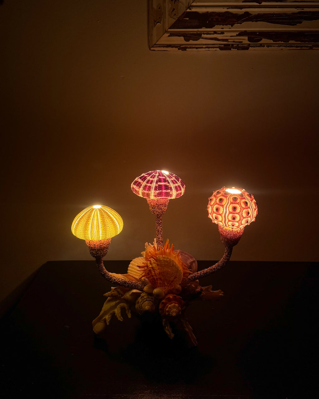 Shell lamp with sea urchins
