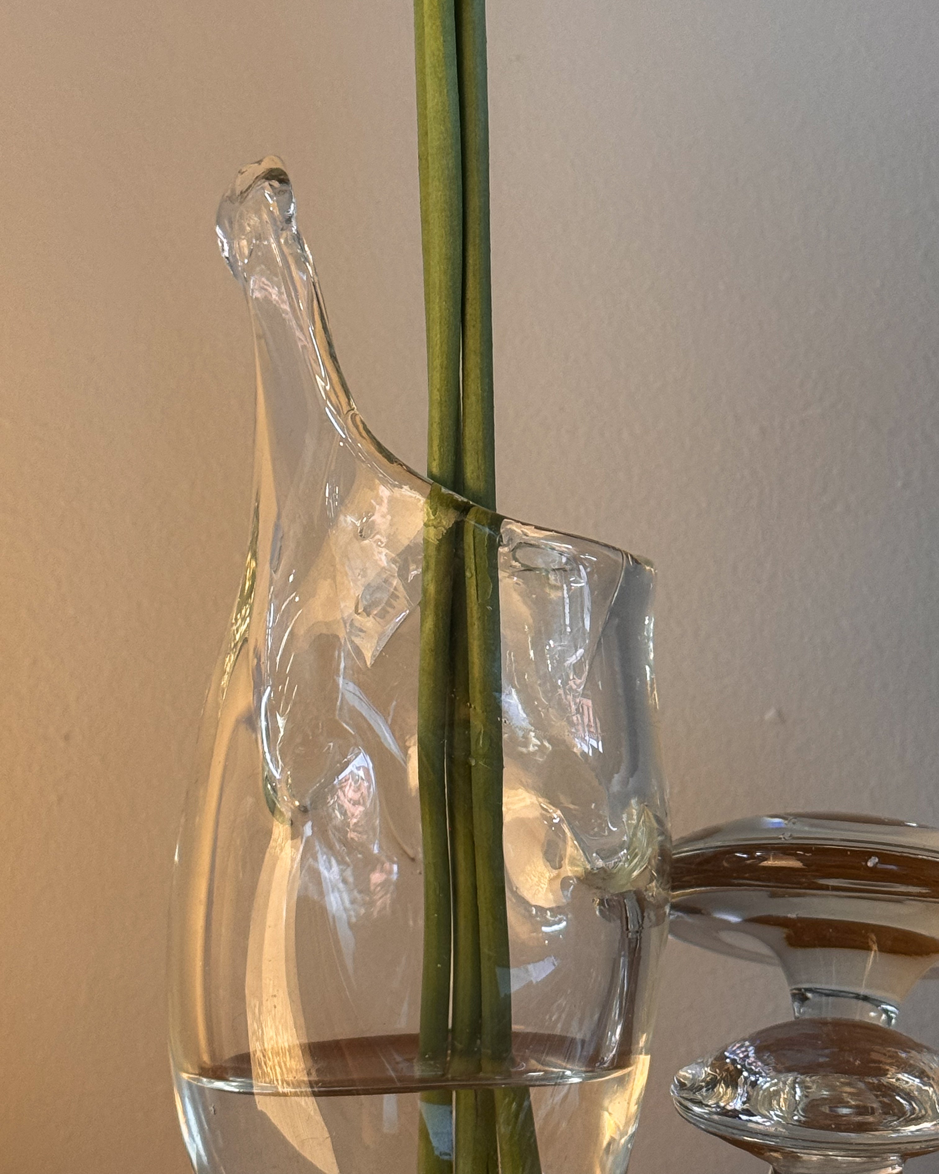 Clear art glass handblown vase with mushrooms