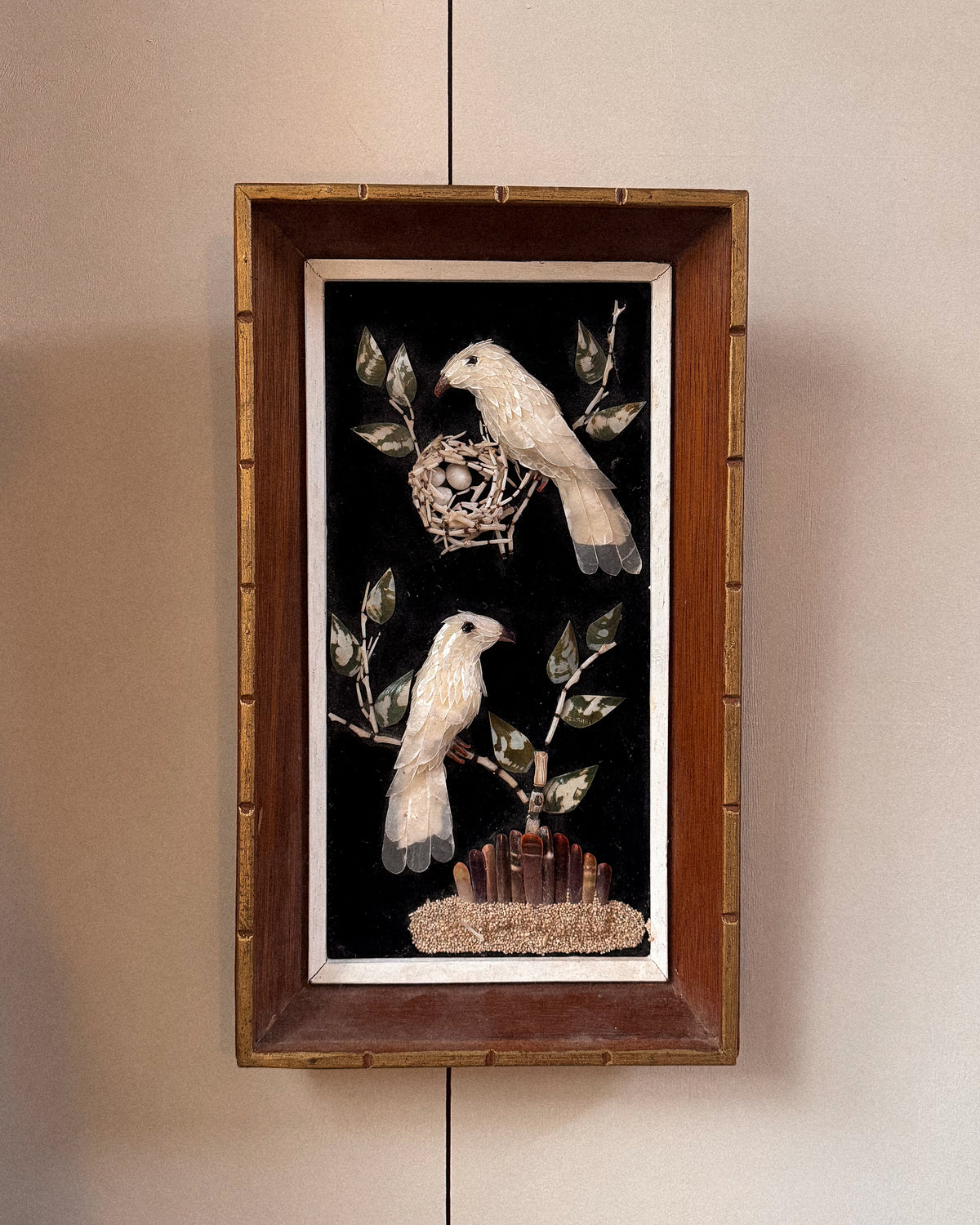 Shell bird art in wooden frame