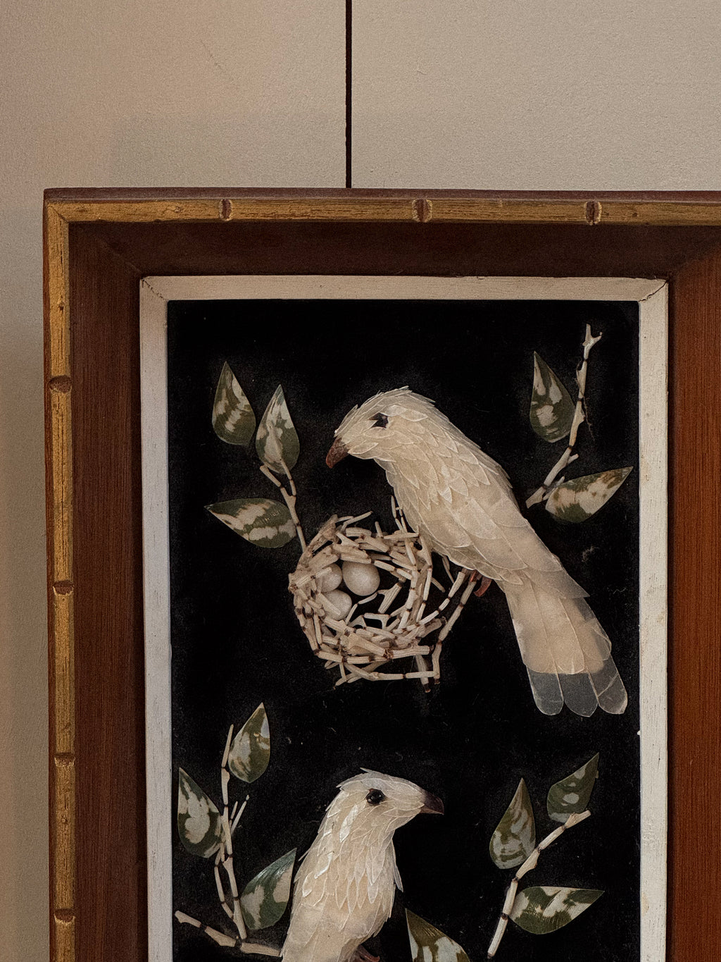 Shell bird art in wooden frame