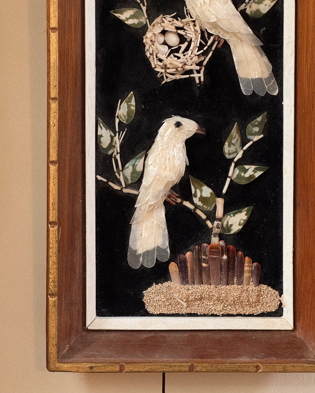 Shell bird art in wooden frame