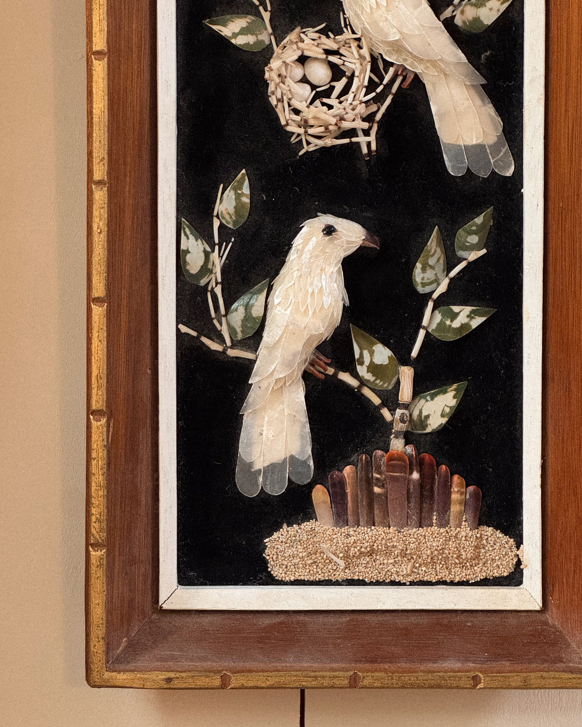 Shell bird art in wooden frame